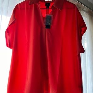 Sheer red collared blouses with button detail